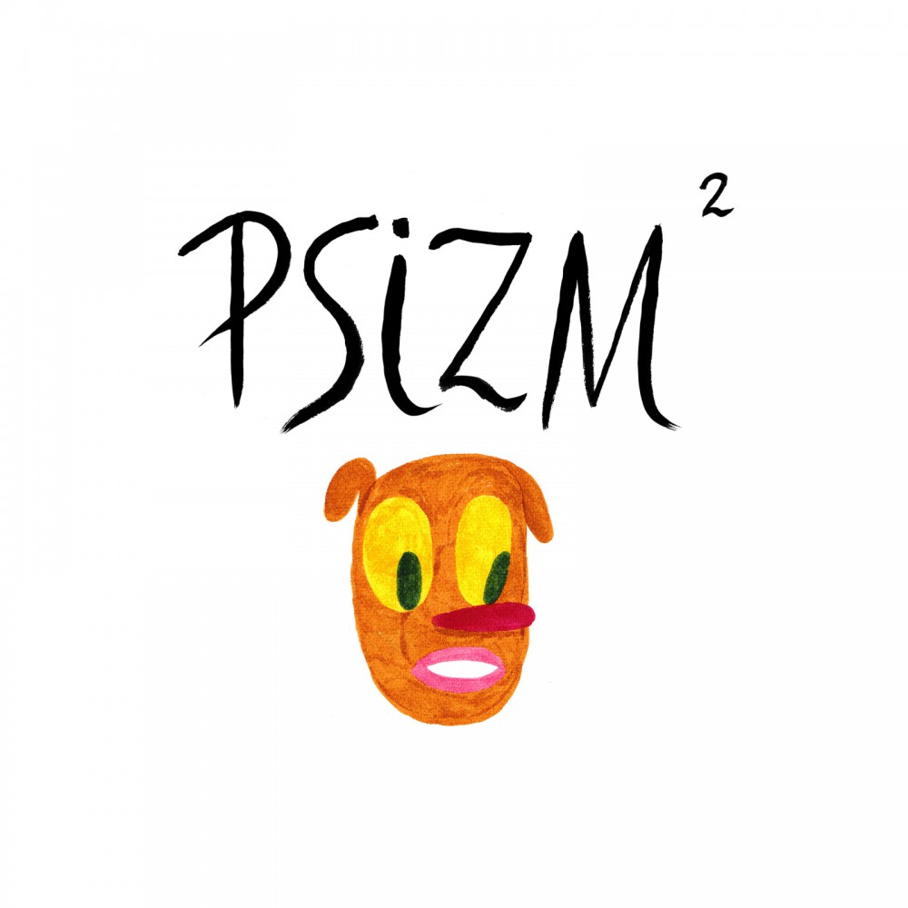 PSIZM 2